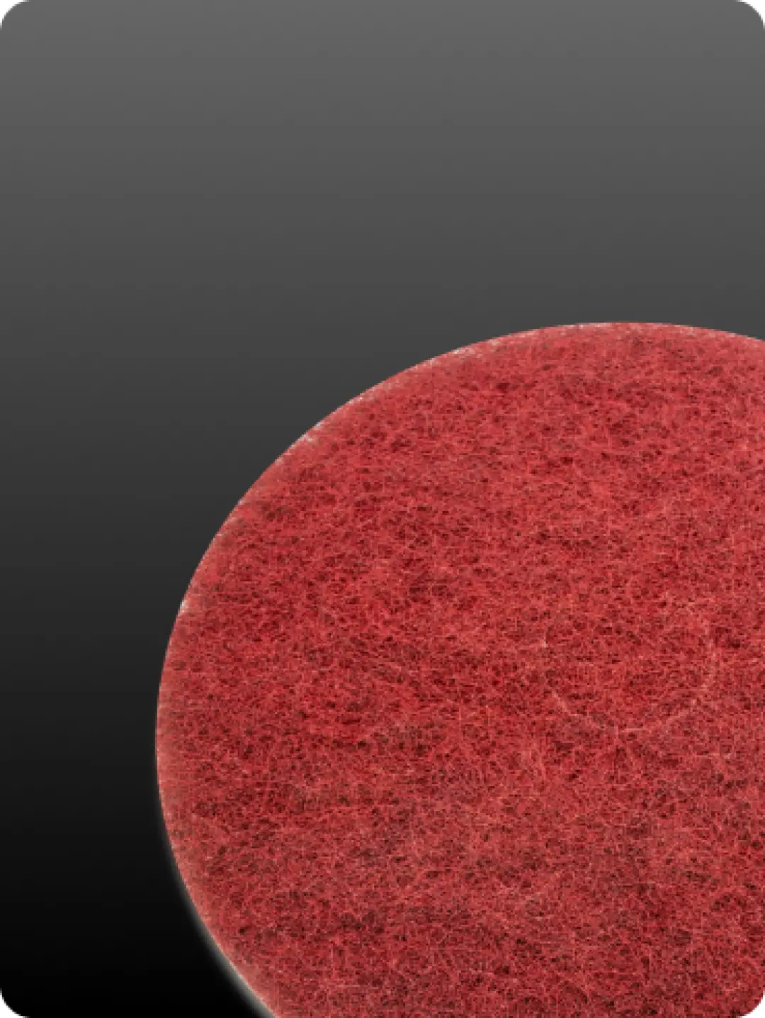 300 198EL GH da722ad5 bccf 4a49 8044 acbdc285902b 1080x